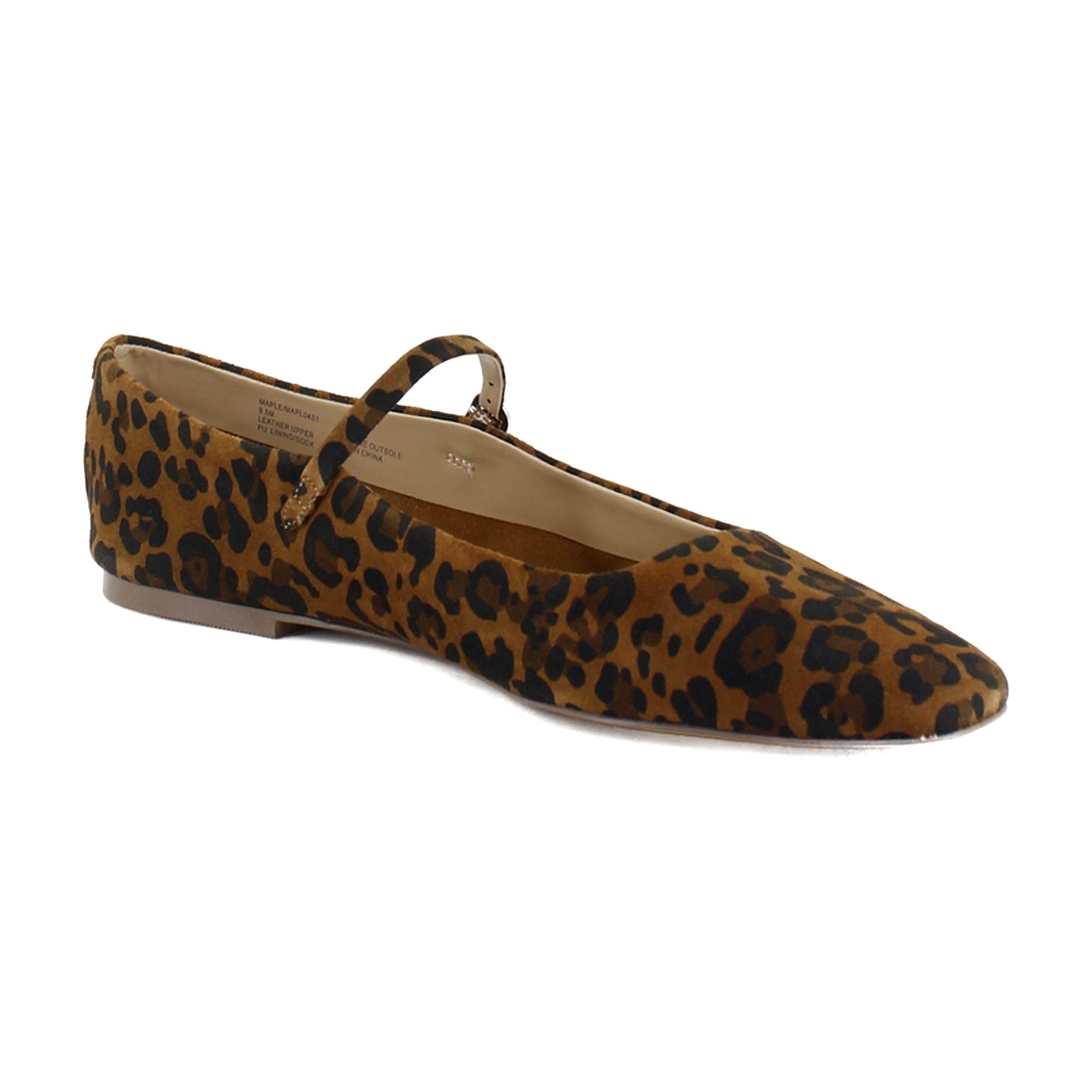 Leopard