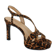Cheetah Animal Print
