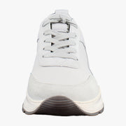 White Grey