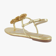 Amber Gold