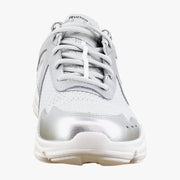 Oyster Grey