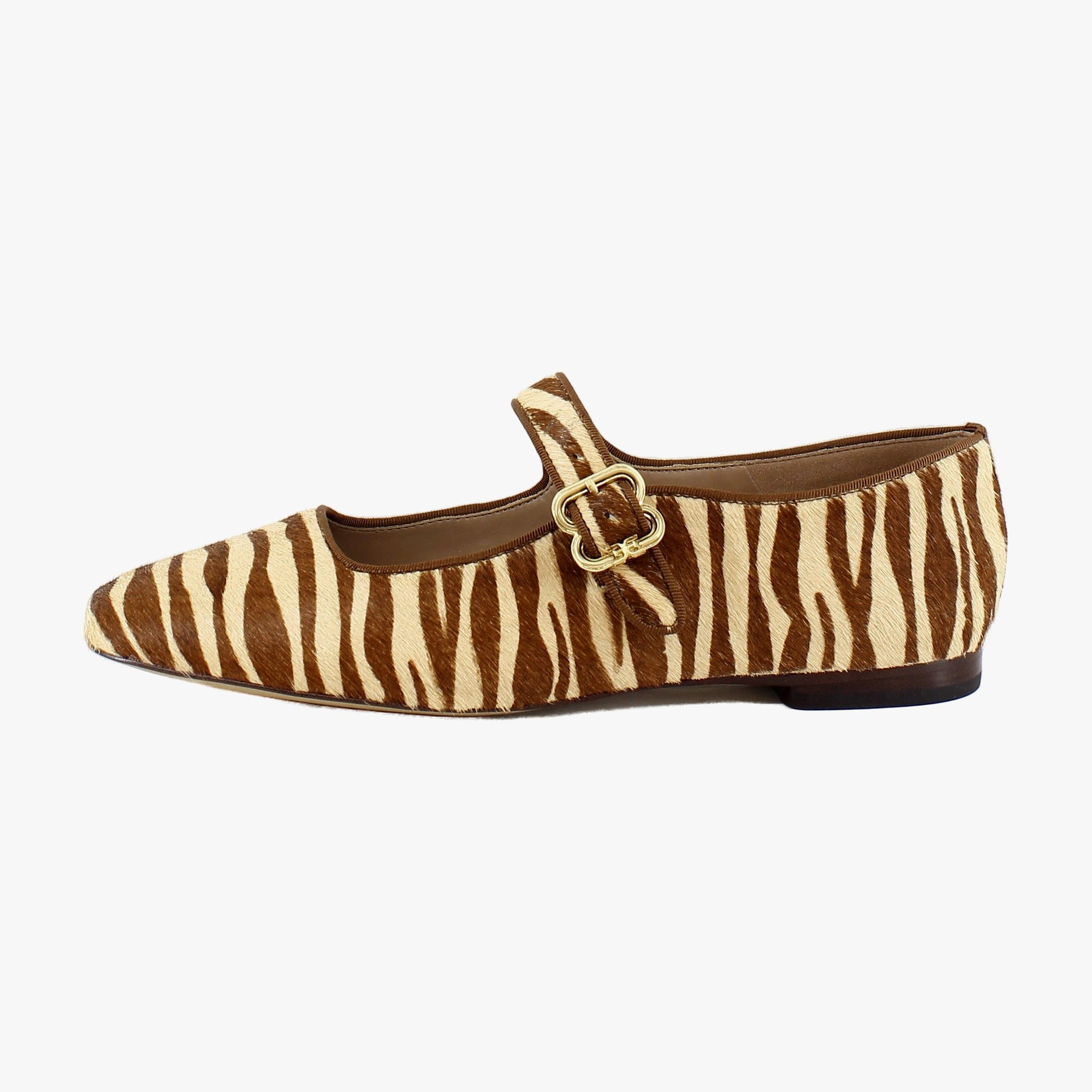 Beechwood Zebra Multi