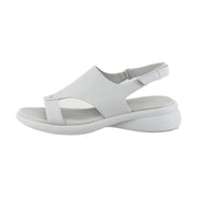 Mist Grey