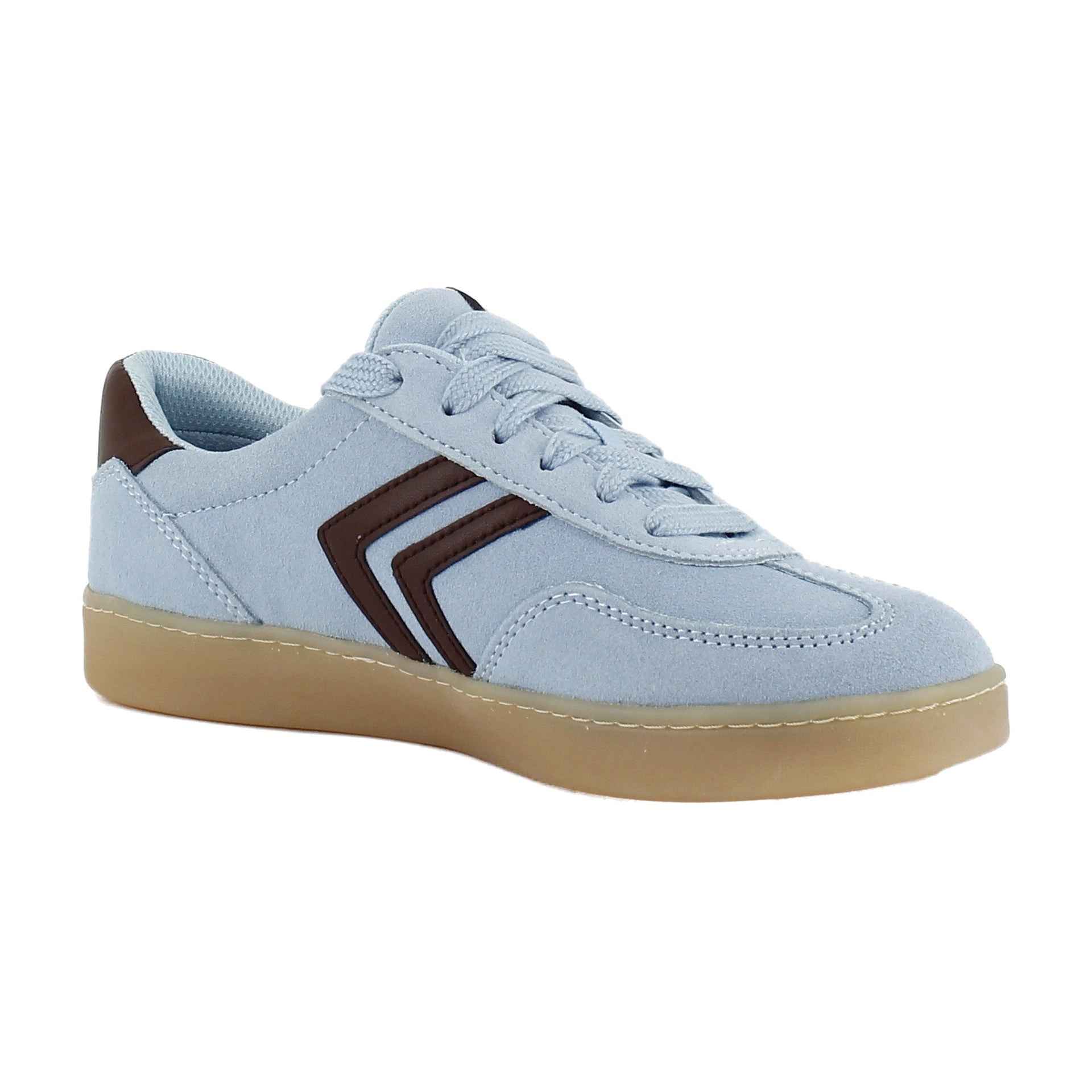 Blue/Brown
