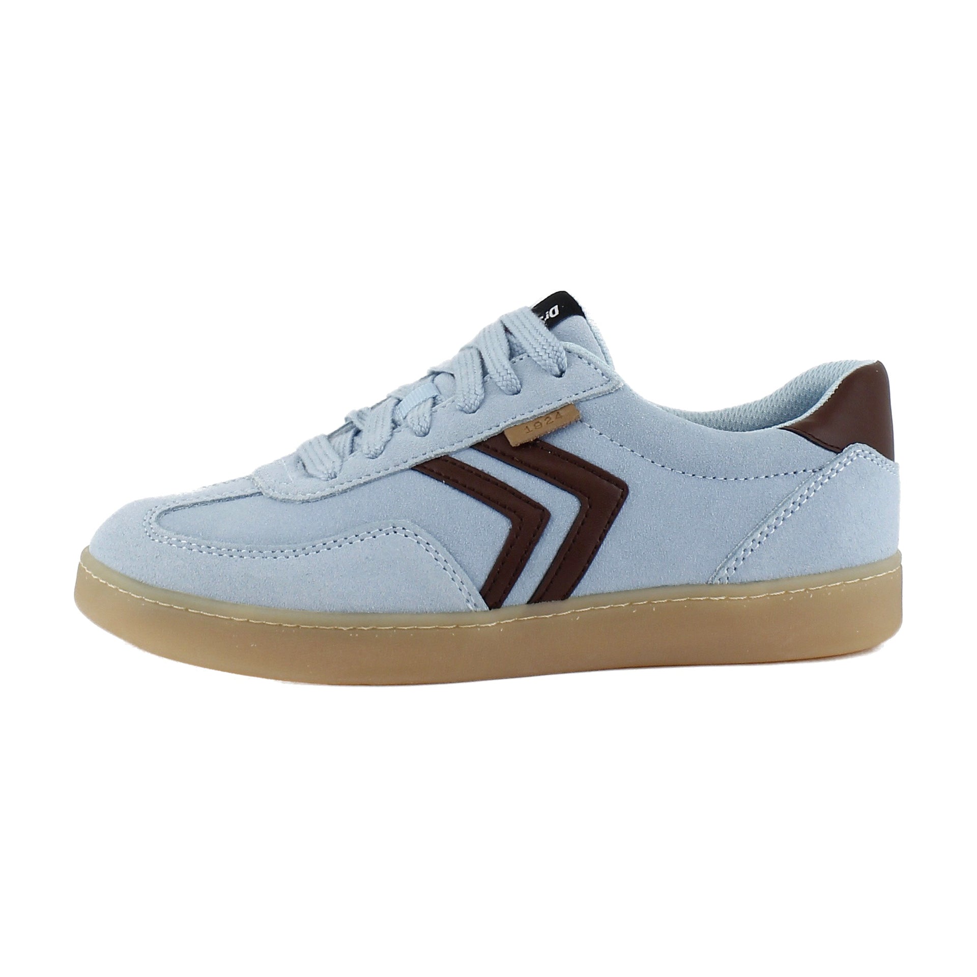 Blue/Brown