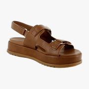 English Tea Brown