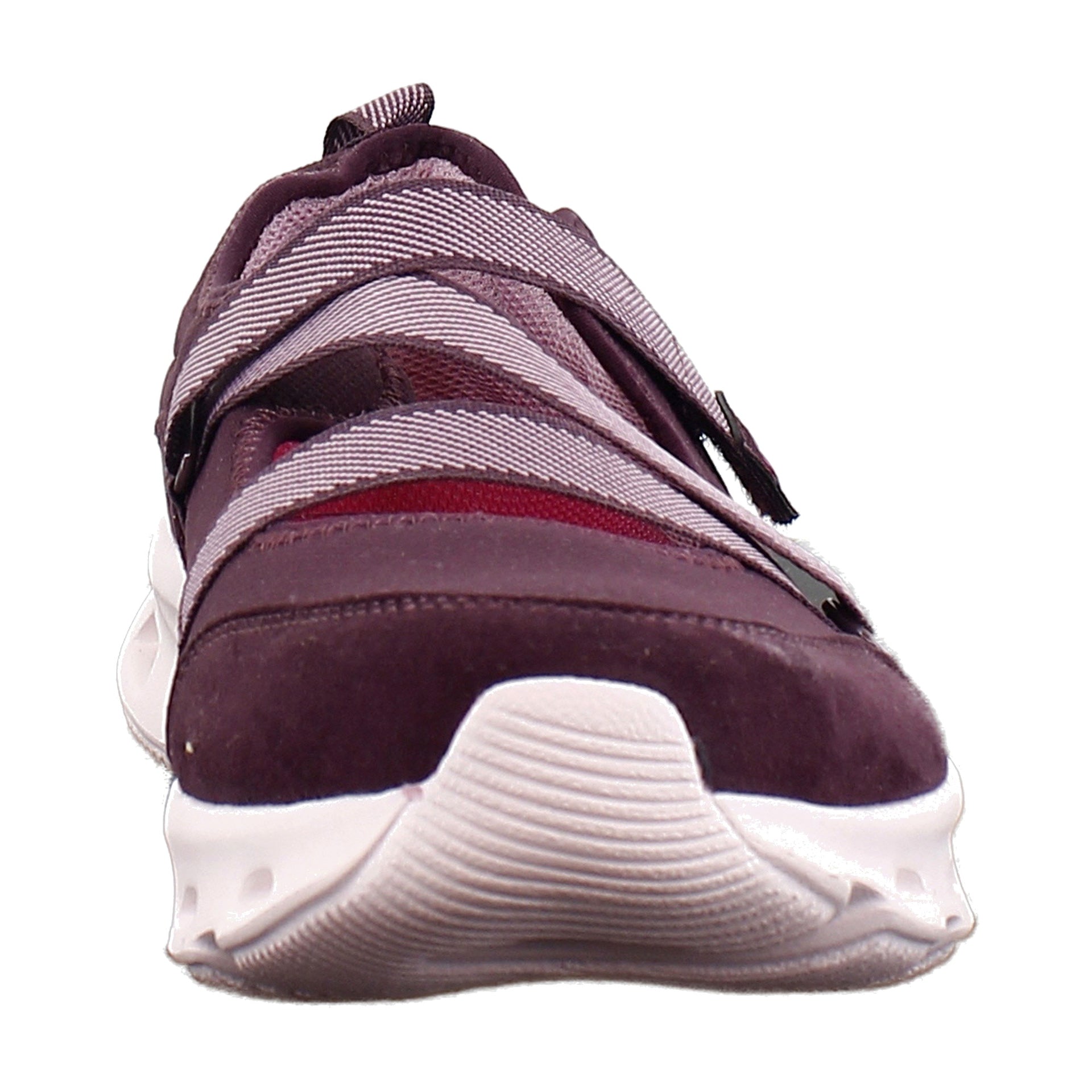 Purple Fig