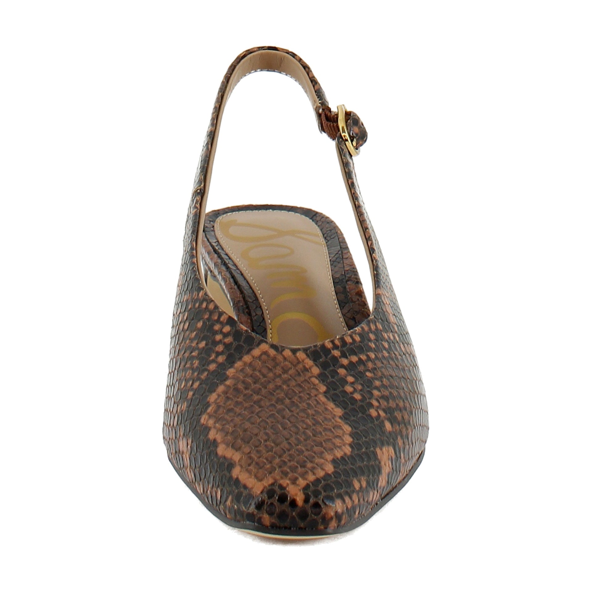 Rich Copper