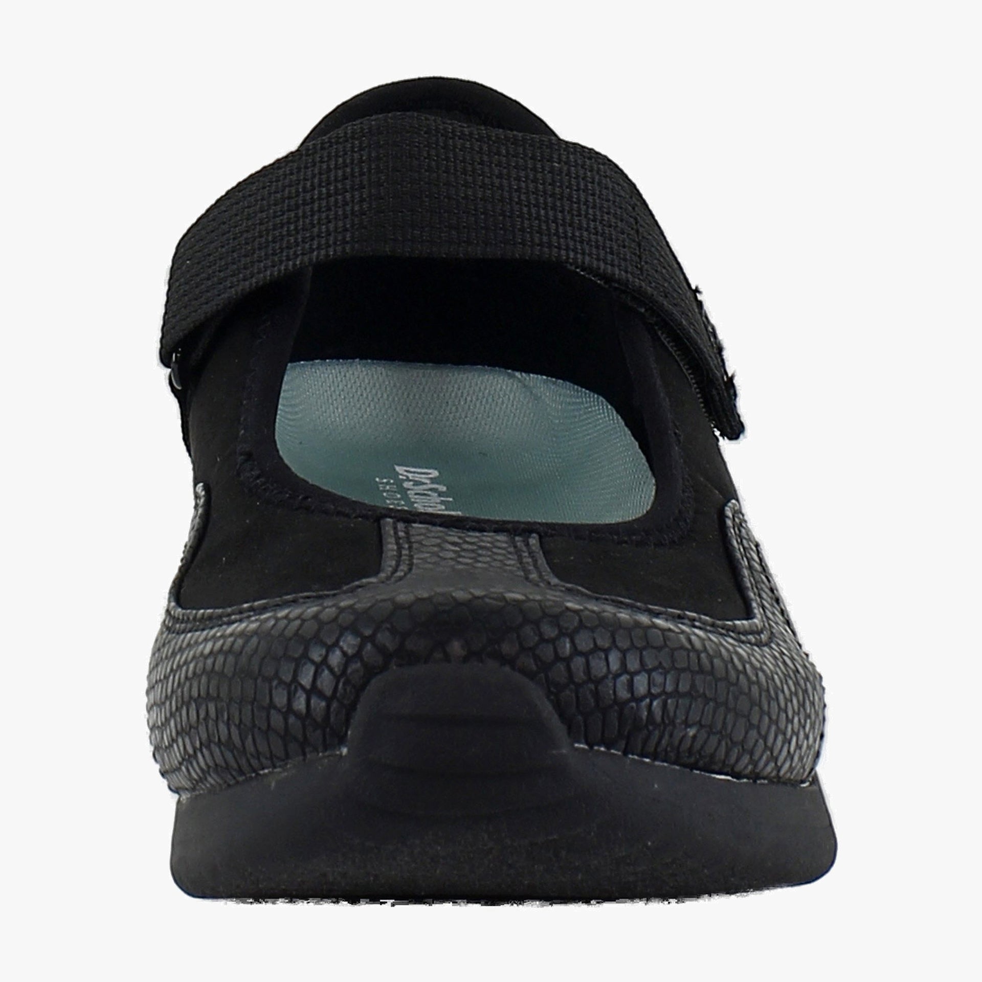 Black Snake