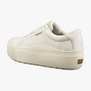Oyster Beige Grey