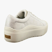 Oyster Beige Grey