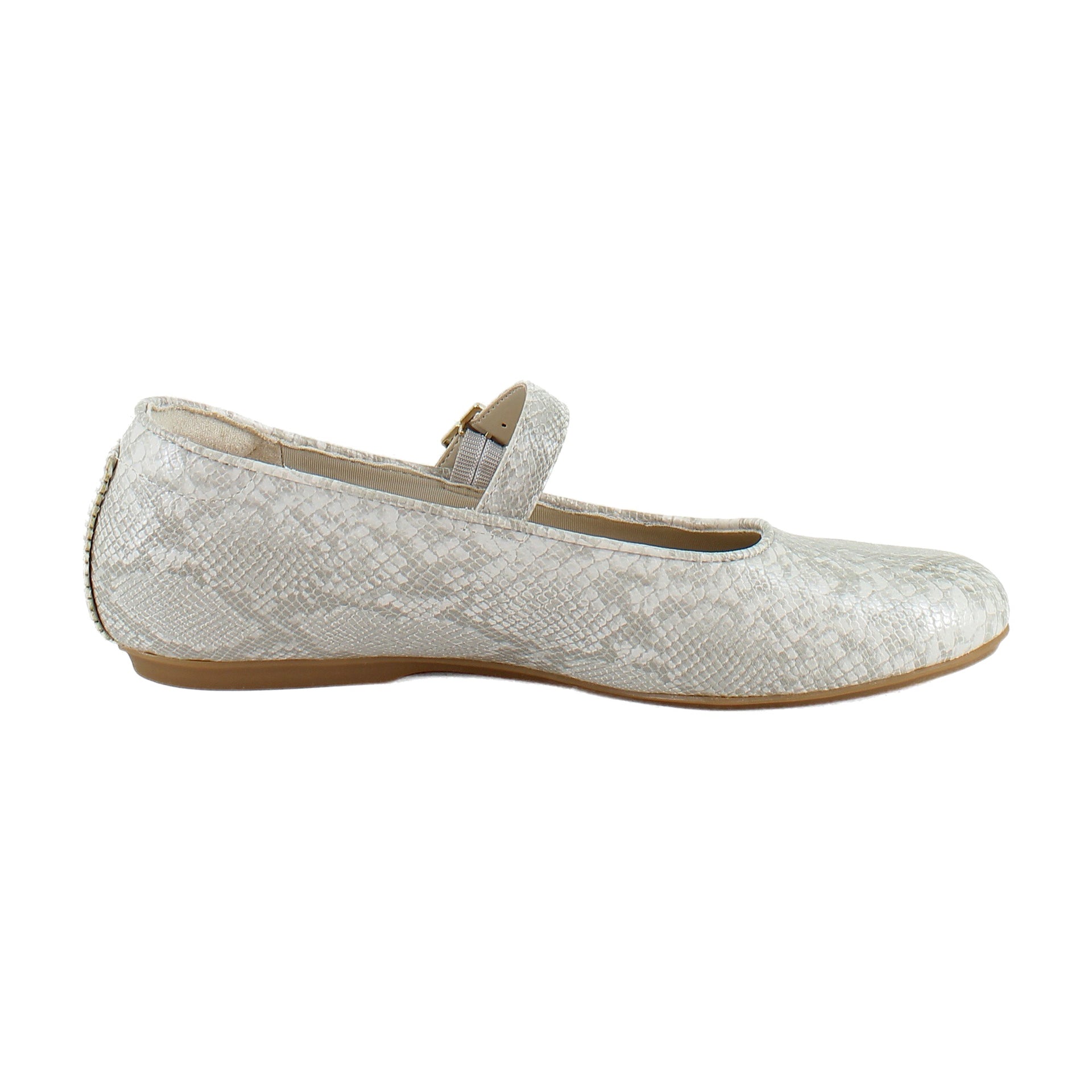 Light Grey Snake