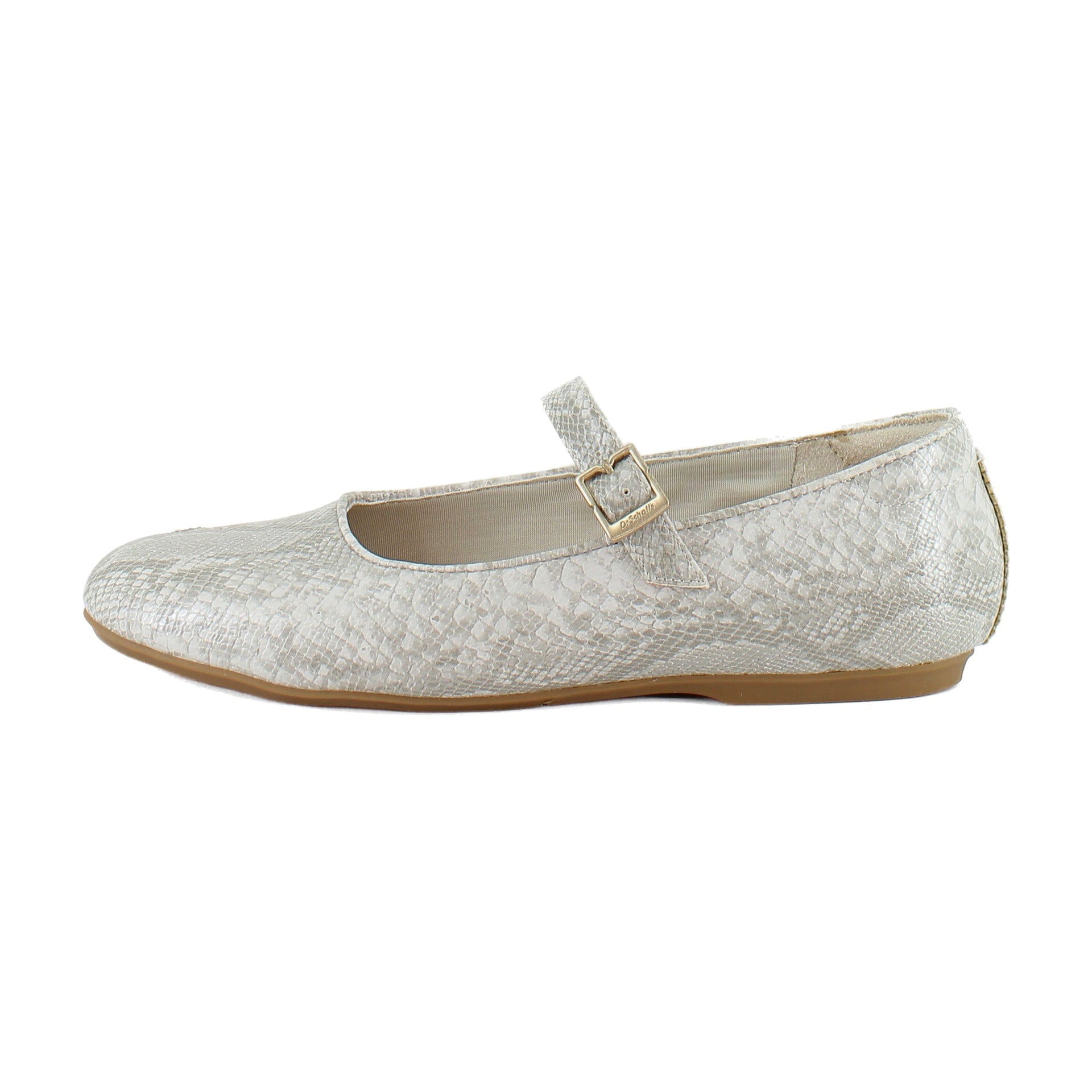Light Grey Snake