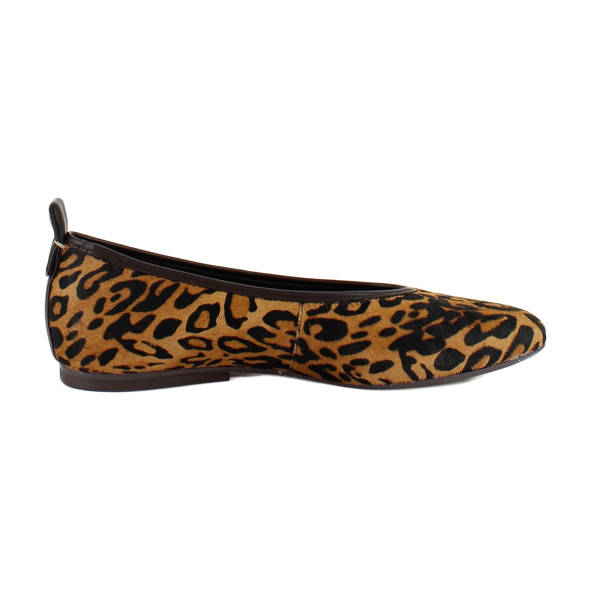 Cheetah Print