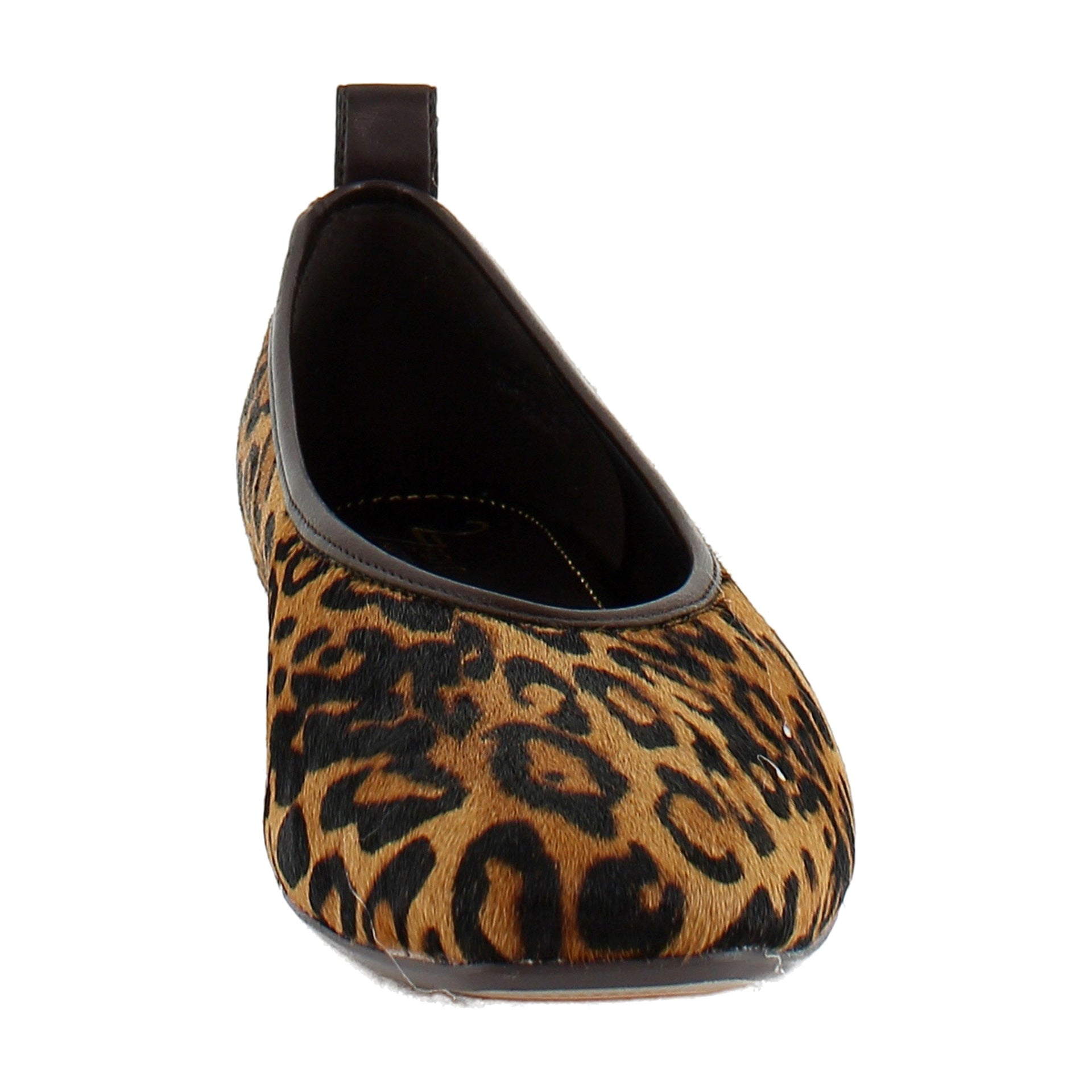 Cheetah Print