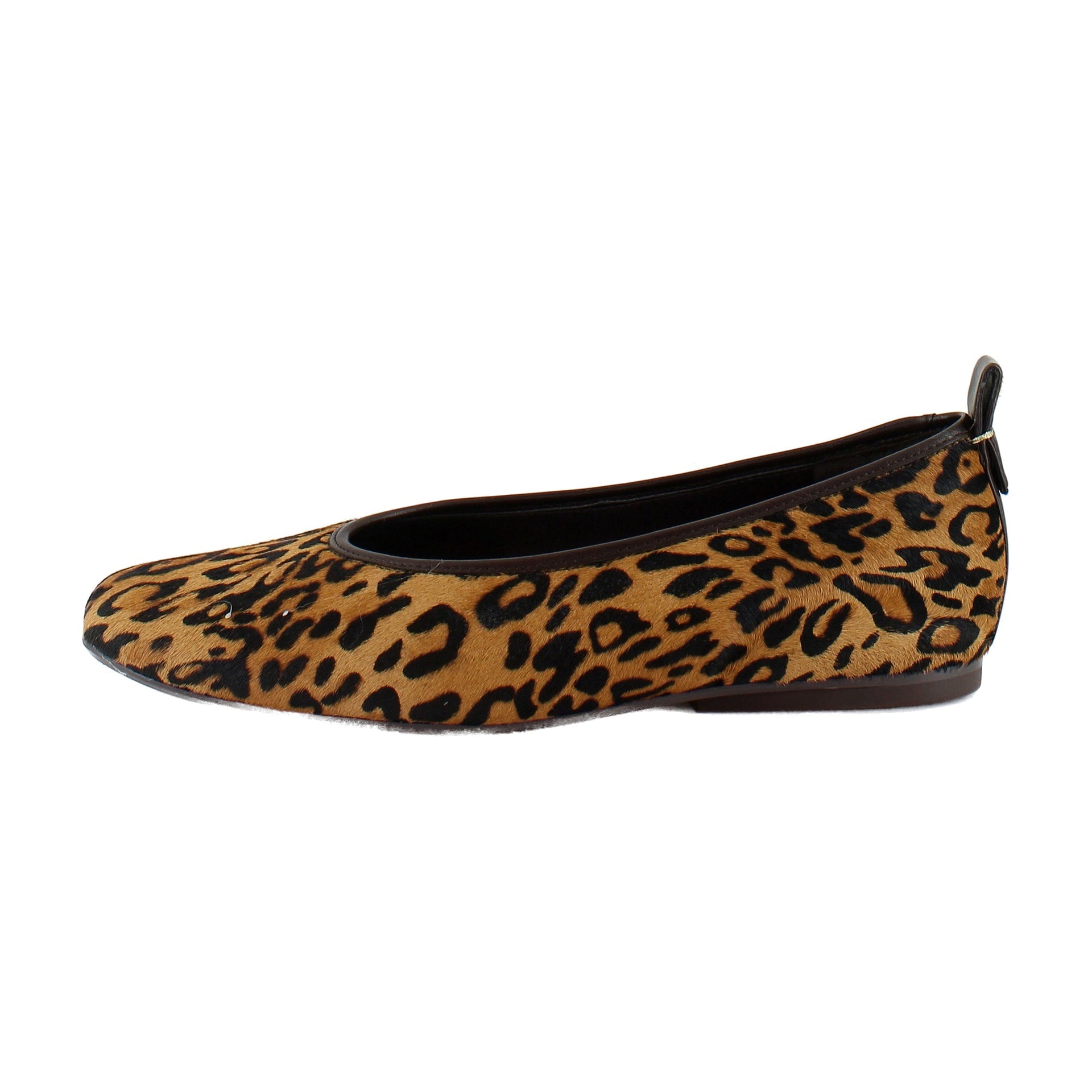 Cheetah Print