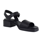 Black Pu