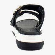 Black Shimmer