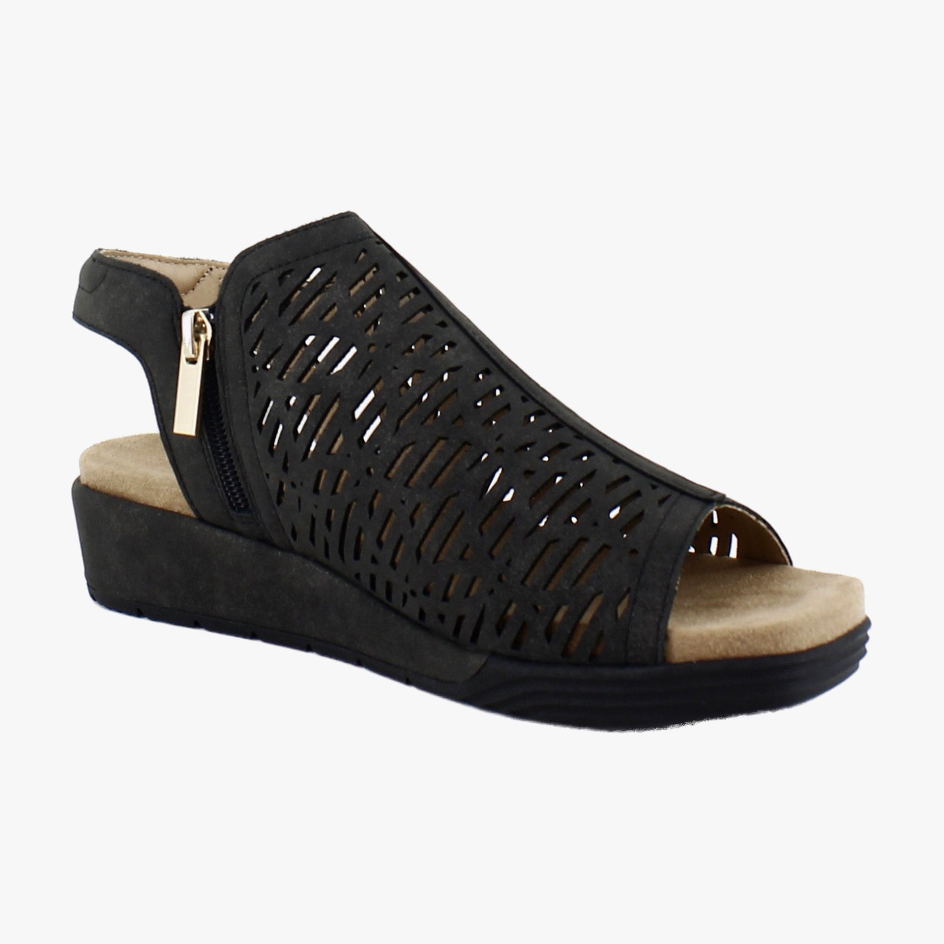 Black Shimmer