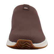 Chicory Brown