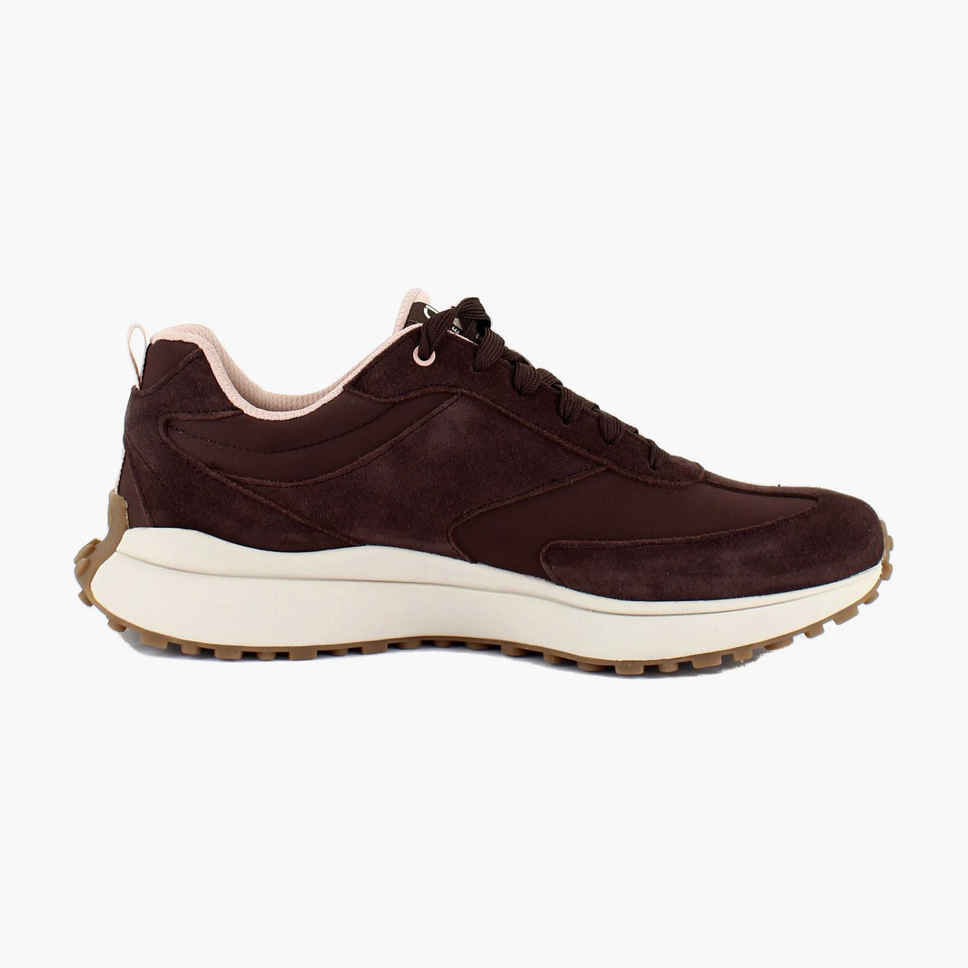 Chicory Brown/Pink