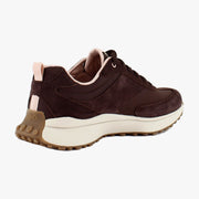 Chicory Brown/Pink