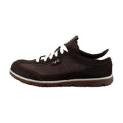 Chicory Brown
