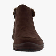 Chicory Brown