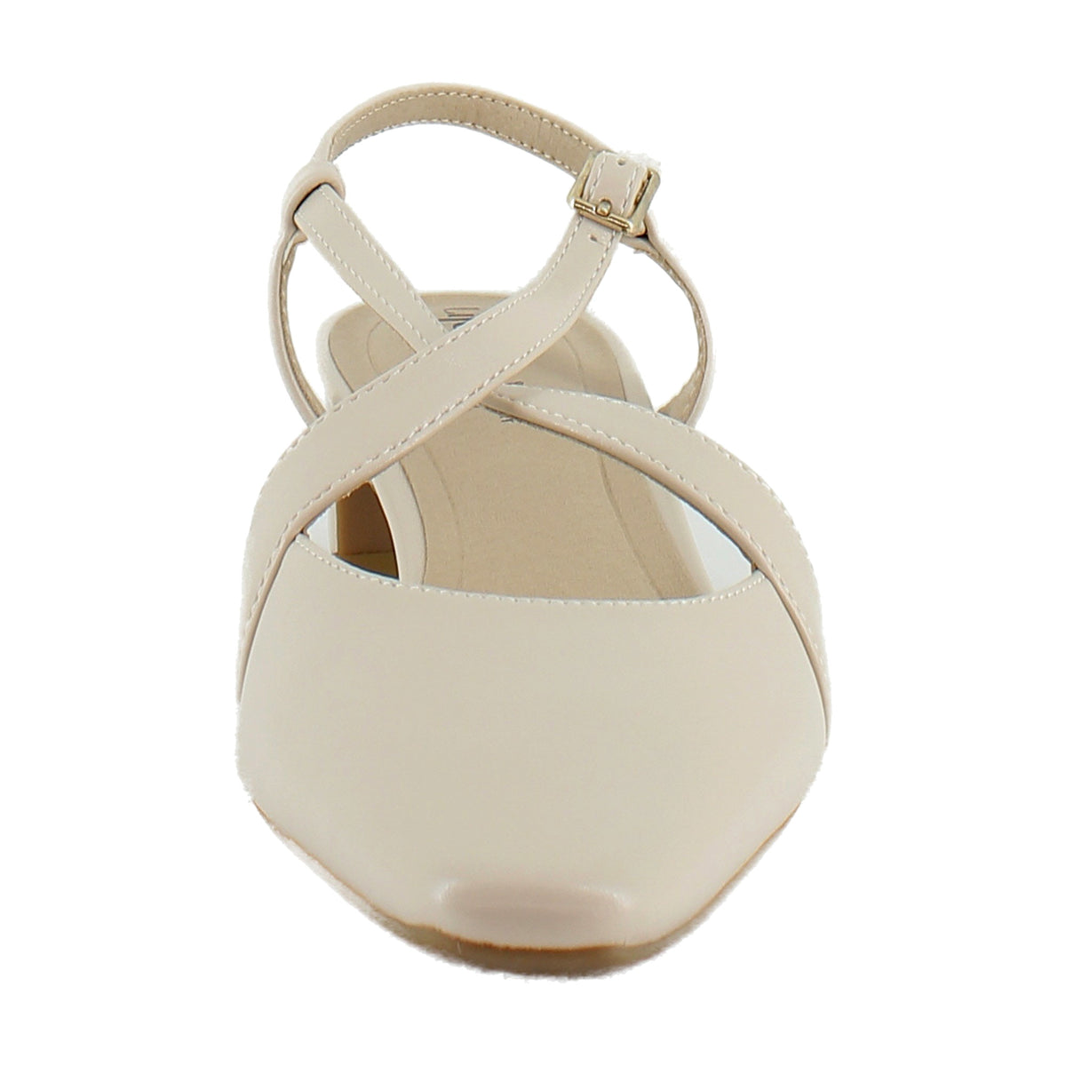 Seashell Beige