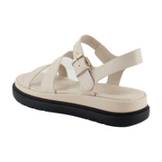Ivory Beige