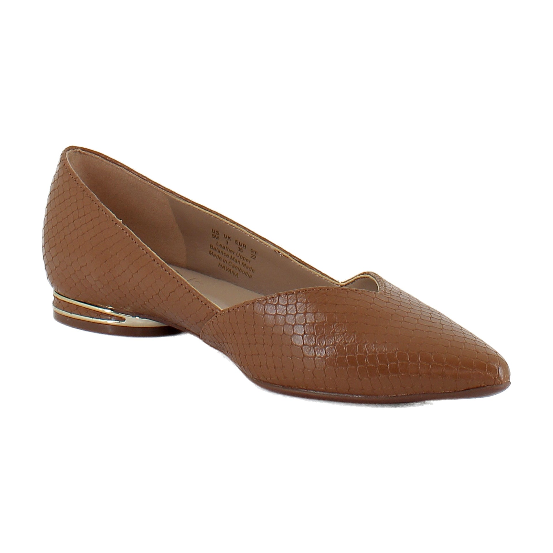 Brown Snake Print