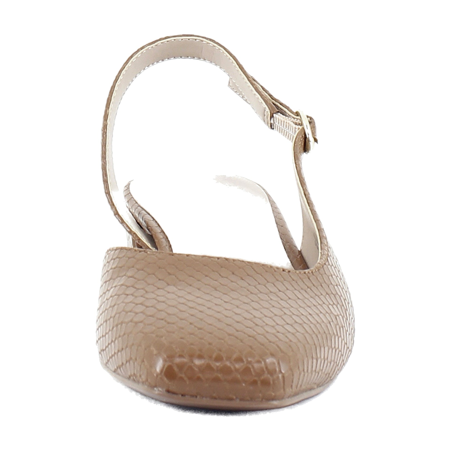 Brown Snake Print