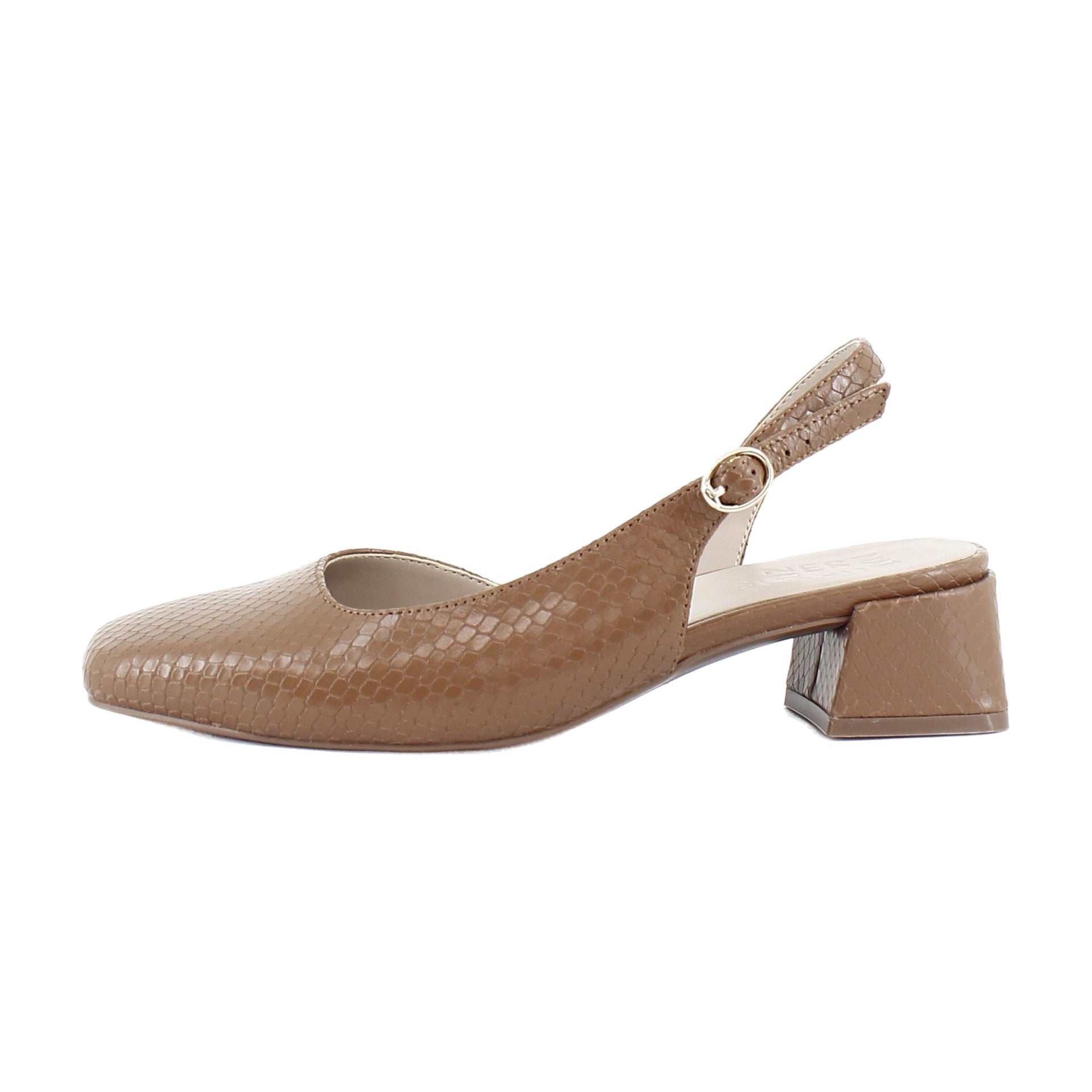 Brown Snake Print