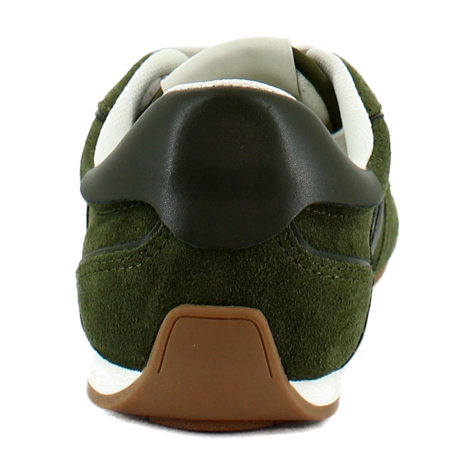 Olive Multi