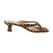 Dk Leopard