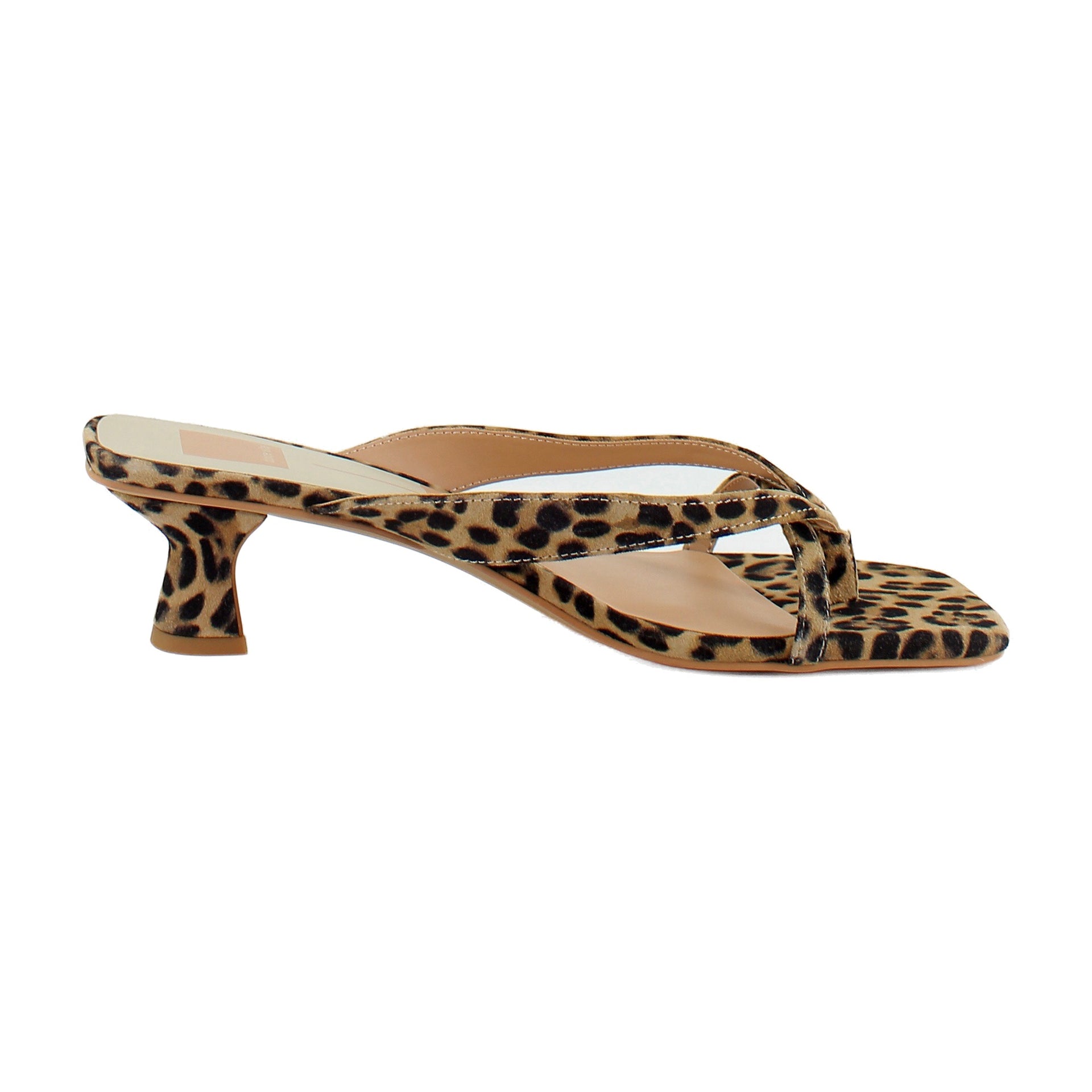 Dk Leopard