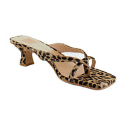 Dk Leopard