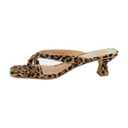 Dk Leopard