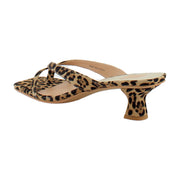 Dk Leopard