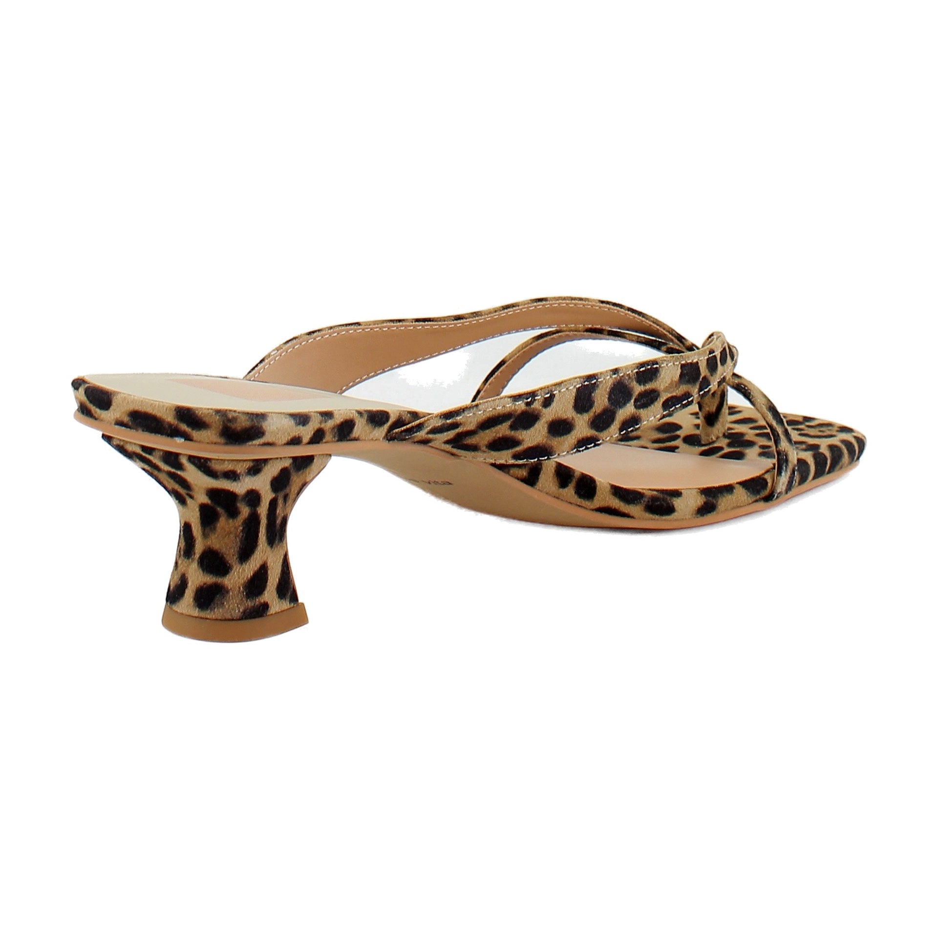 Dk Leopard