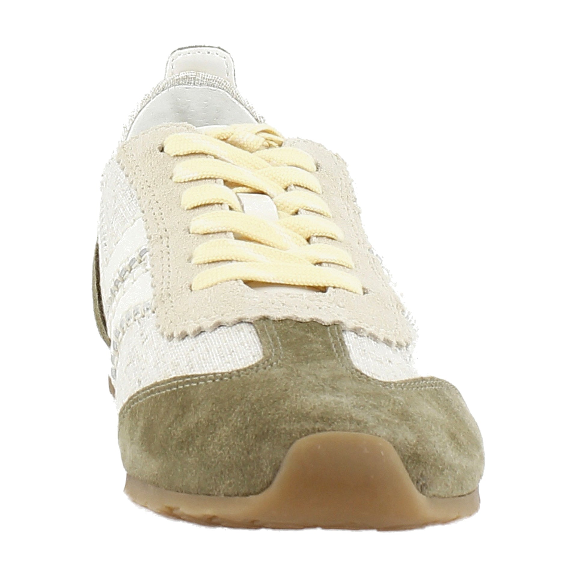 Olive Multi