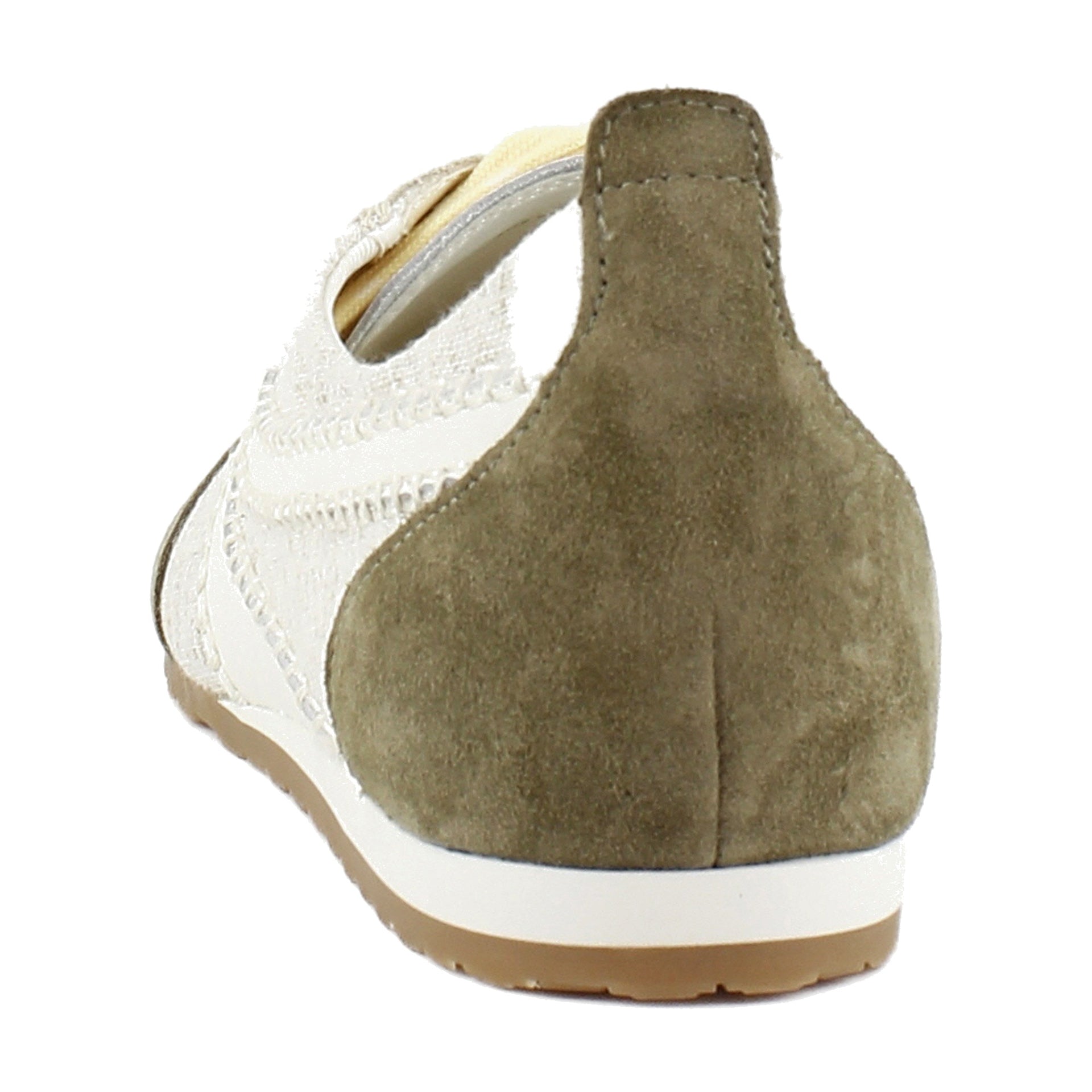 Olive Multi