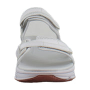 Oyster Grey