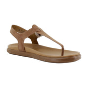 Walnut Brown