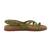 Summer Olive