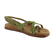 Summer Olive