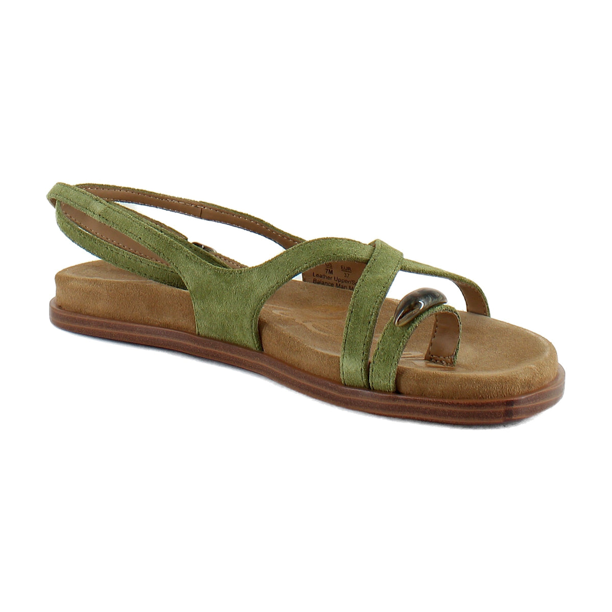 Summer Olive