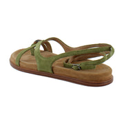 Summer Olive